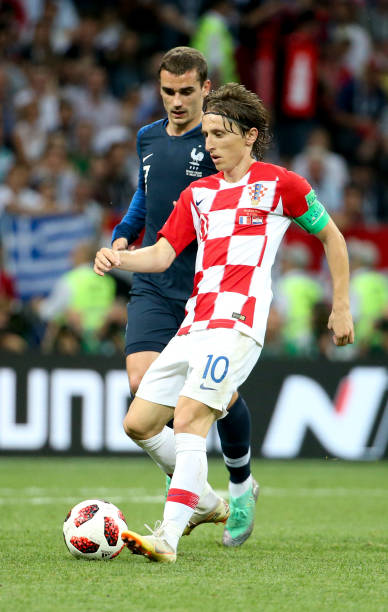 将决定他们 将决定他们