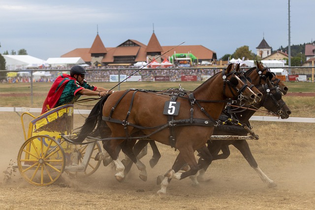 这一策略有 这一策略有